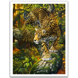 High Intensity - Showpiece - 1200 pieces