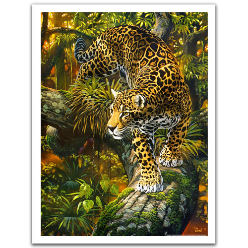 High Intensity - Showpiece - 1200 pieces