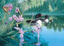 Iris Cove Loons - 500 pieces