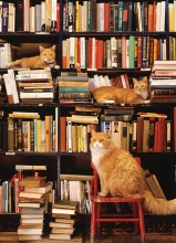 Gotham Bookstore Cats - 500 pieces