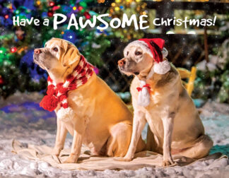 Christmas Postcard:  Pawsome Christmas - 88 pieces