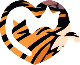 Year of the Tiger | 2022 | Soul Puzzles | Whimsy Wood Puzzle