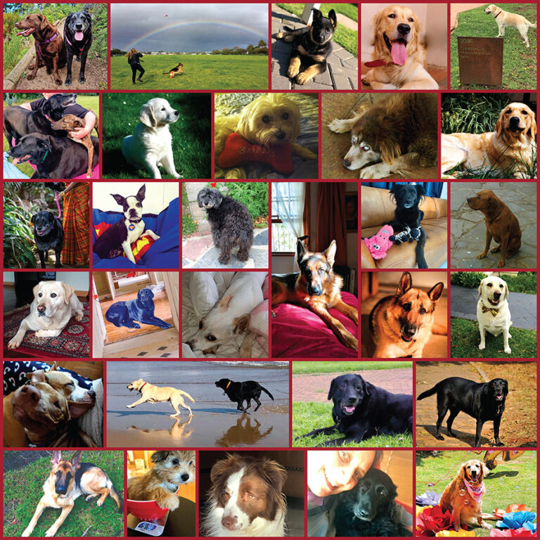 Good Dog SA Collage — Dog Lovers Series puzzle