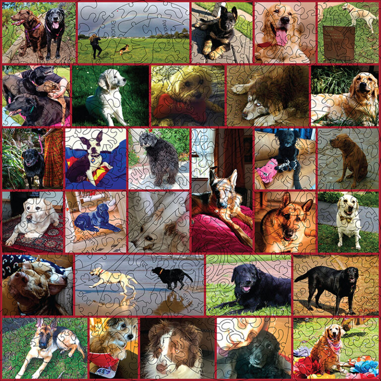 Good Dog SA Collage puzzle — alternate view