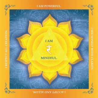 Solar Plexus Chakra  - 288 pieces - Chakra Series