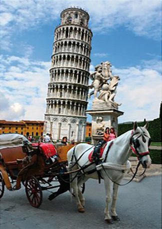 Tower of Pisa, Italy - 1000 Pieces