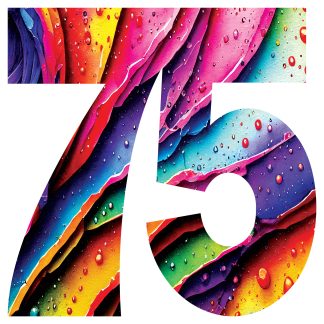 Number 75 XL pcs shaped - Celebration of Life - Shaped - 75 Pieces whimsical wood jigsaw puzzle.