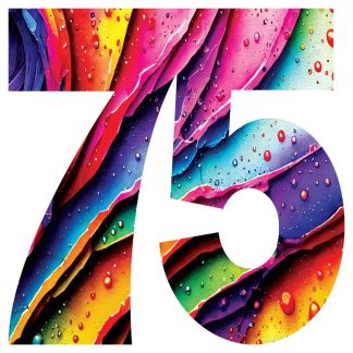 Number 75 XL pcs shaped - Colourful Moments - Shaped - 75 Pieces whimsical wood jigsaw puzzle.