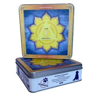 Solar Plexus Chakra - Square - 288 Pieces whimsical wood jigsaw puzzle.